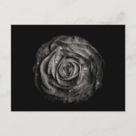 Bodemvloeren in zwart-wit nr. 72 briefkaart