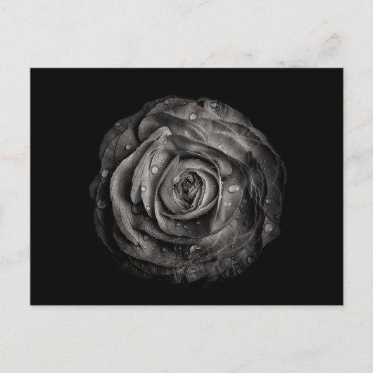 Bodemvloeren in zwart-wit nr. 72 briefkaart (Voorkant)