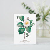 Bodemwitte Camellia Blossom Briefkaart (Staand voorkant)