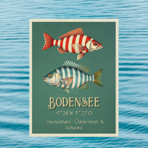 Bodensee Bodensee Duitsland vis Briefkaart
