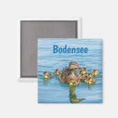Bodensee-eenden met eendjes magneet (Voorkant / Achterkant)