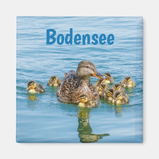 Bodensee-eenden met eendjes magneet (Voorkant)
