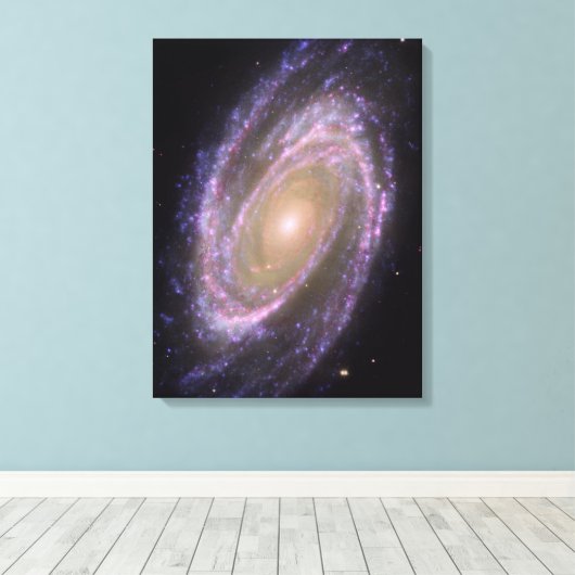 Bode's Galaxy Canvas Afdruk (Insitu (Houten vloer))