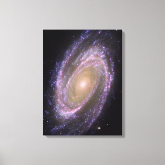 Bode's Galaxy Canvas Afdruk (Voorkant)