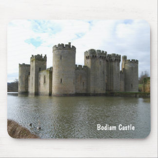 Bodiam Castle Muismat