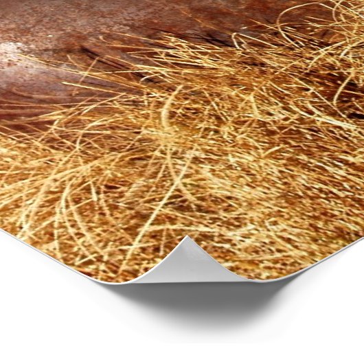 Bodie Abandoned Car Poster (Hoek)