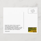 Bodie Dodge Graham & Shower Briefkaart (Achterkant)