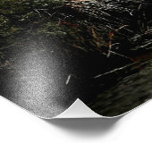 Bodie Island - vuurtoren met Egret Foto Afdruk (Hoek)