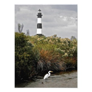 Bodie Island - vuurtoren met Egret Foto Afdruk
