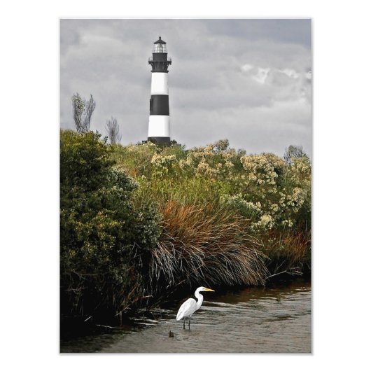 Bodie Island - vuurtoren met Egret Foto Afdruk (Voorkant)