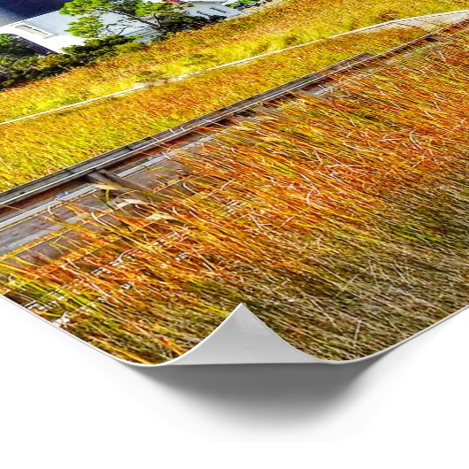 Bodie Lighthouse Outer Banks North Carolina Kunst Poster (Hoek)