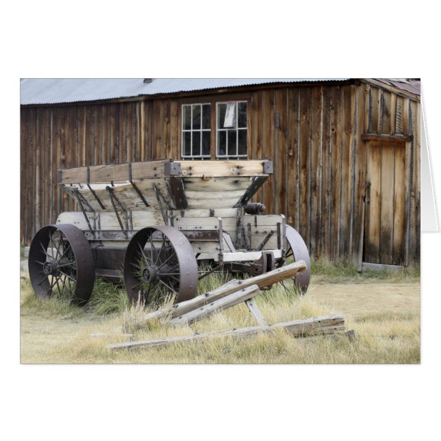 Bodie State Historic Park, CA (Voorkant Horizontaal)