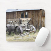 Bodie State Historic Park, CA Muismat (Met muis)