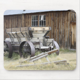 Bodie State Historic Park, CA Muismat