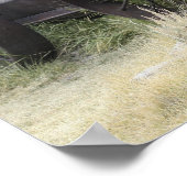 Bodie State Historic Park, CA Poster (Hoek)