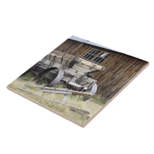 Bodie State Historic Park, CA Tegeltje (Zijkant)