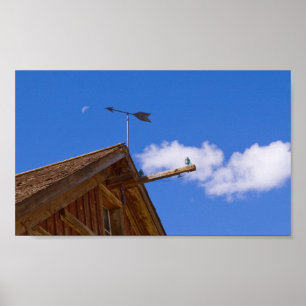 Bodie Weather Vane en Moon Color Poster
