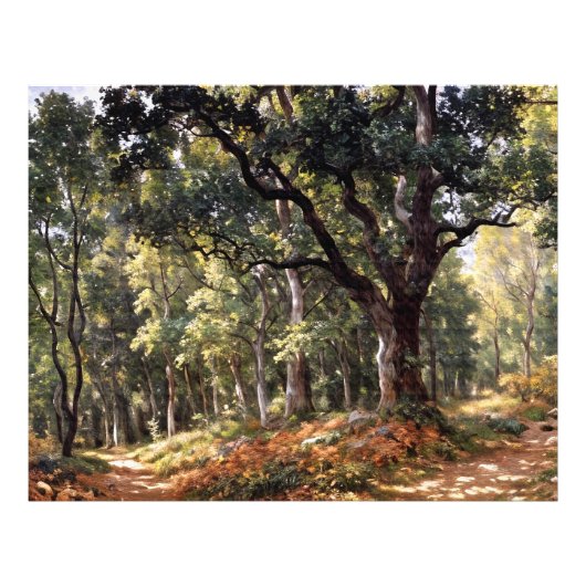 Bodmer Oak Foto Afdruk (Voorkant)