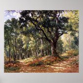 Bodmer Oak Poster (Voorkant)
