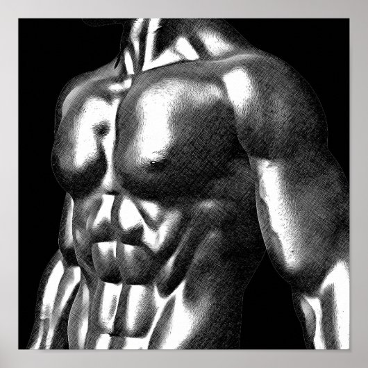 Body Builder Mans Torso Drawing Poster (Voorkant)