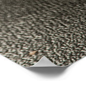 Bodybuilding Fitness Inspirerend Succes Dumbell Poster (Hoek)