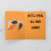 BOE-GEROEP! KAART (Binnen)