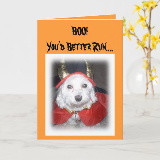 BOE-GEROEP! KAART (Gele Bloem)