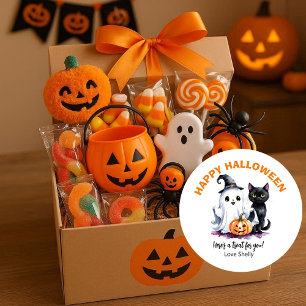 Boe! Happy Halloween vriendelijke geest & kat Ronde Sticker
