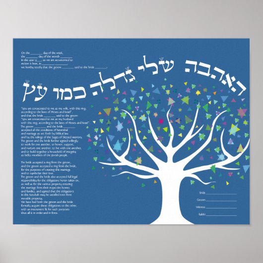 BOE VAN LIFE Ketubah Joods huwelijkscertificaat Poster (Voorkant)