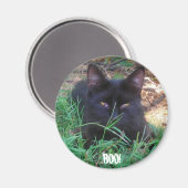 BOE! ZWARTE KATTEN MAGNEET (Voorkant / Achterkant)