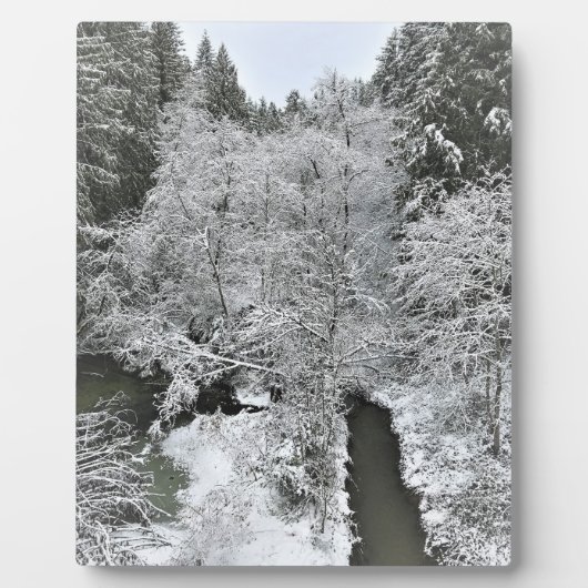 Boeckman Creek in de winter Fotoplaat (Voorkant)