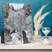 Boeckman Creek in de winter Fotoplaat (Zijkant)