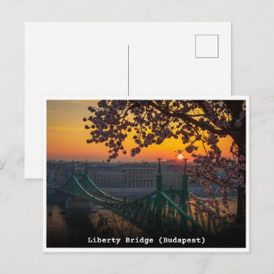 boedapest hongarije vintage liberty brug cadeaus briefkaart