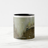 Boedapest in de sneeuw tweekleurige koffiemok (Center)