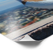 Boedapestduif Foto Afdruk (Hoek)