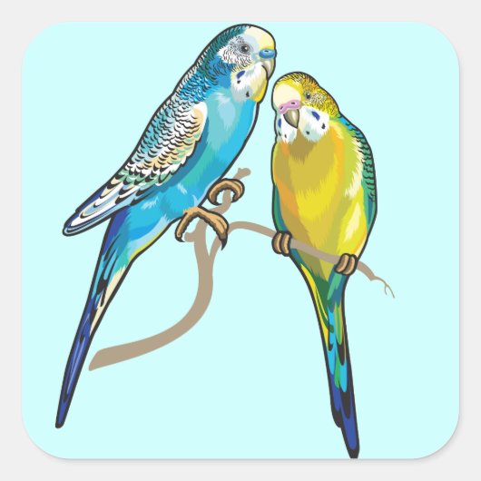 boeddders vierkante sticker (Voorkant)