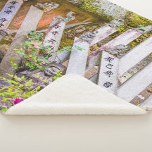 Boeddha-beelden in de tempel Senko-ji