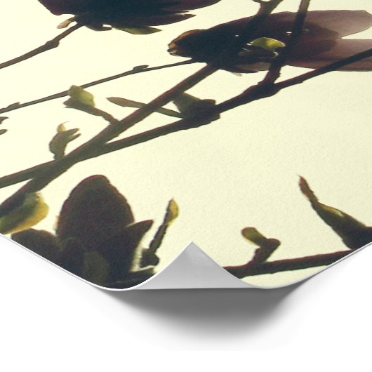 Boeddha citaat op de pasta poster (Hoek)