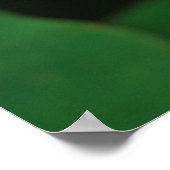 Boeddha citeert Lotus flower Poster (Hoek)