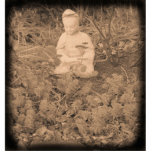 Boeddha Fotosculptuur Staand Fotobeeldje<br><div class="desc">Buddha Photo Sculpture Woodstock,  NY</div>