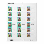 boeddha groen etiket (Full Sheet)