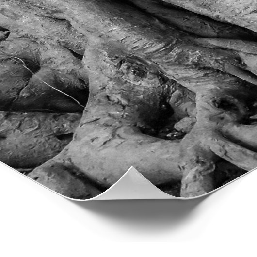 Boeddha Head poster Thailand Black en White (Hoek)