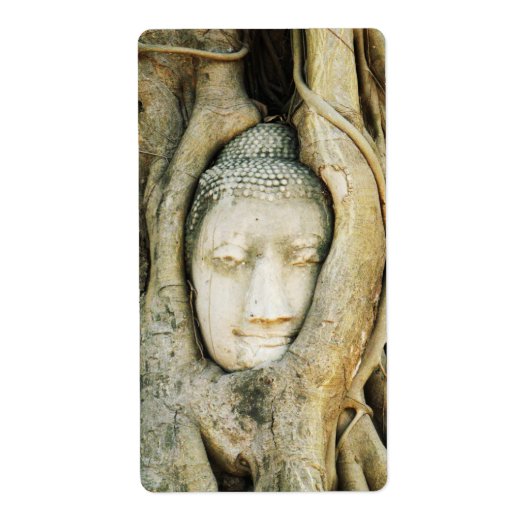 Boeddha Hoofd in de Vijgenboom .. Ayutthaya, Thail Etiket (Voorkant)