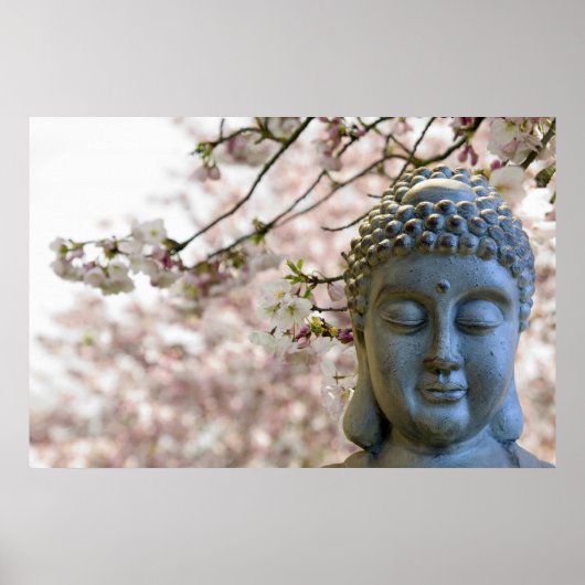 Boeddha Hoofd van het Poster tegen Sakura Cherry B (Voorkant)