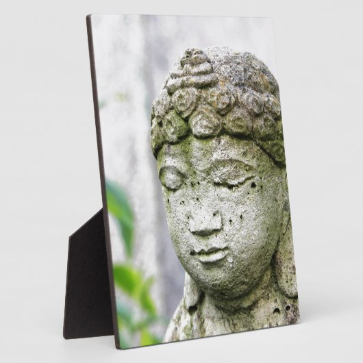 Boeddha-hoofdstandbeeld Fotoplaat (Zijkant)