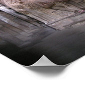 Boeddha-hormoon in India Poster (Hoek)