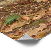 Boeddha in de regen poster (Hoek)