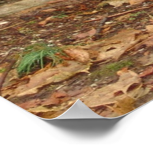 Boeddha in de regen poster (Hoek)