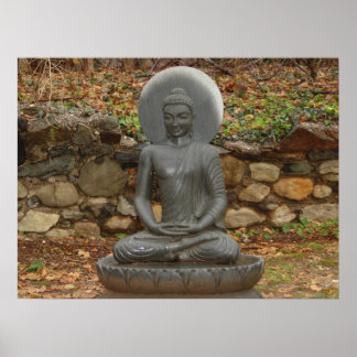 Boeddha in de regen poster