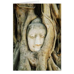 Boeddha kop in de Varkenshouding ... Ayutthaya, Th